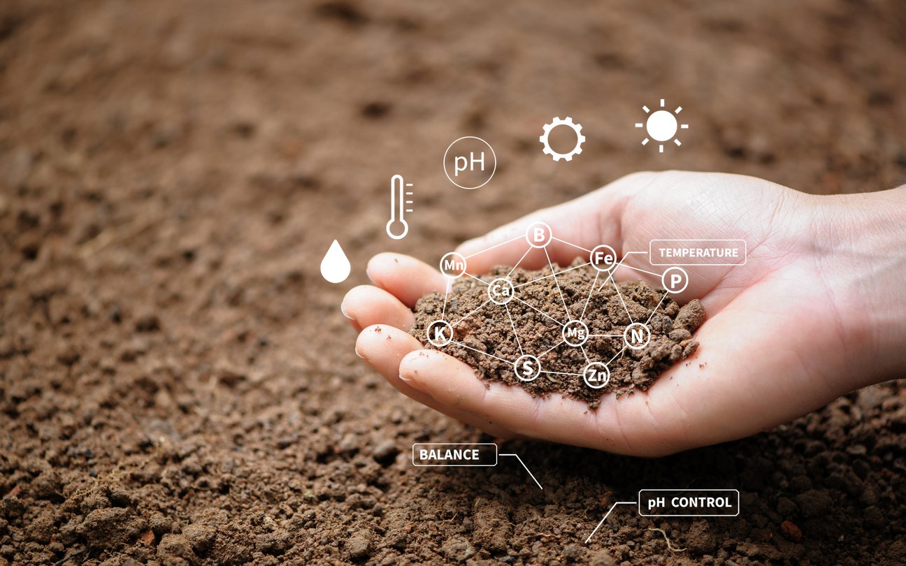 iStock-1360520451 iStock-1360520451