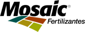 logo-mosaic-preto logo-mosaic-preto